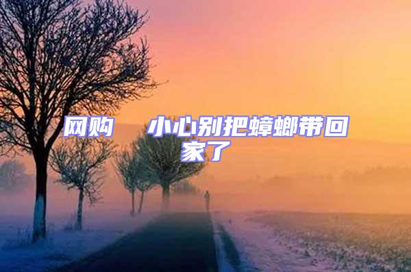 網購  小心別把蟑螂帶回家了