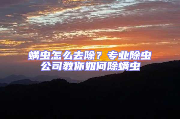螨蟲怎么去除？專業(yè)除蟲公司教你如何除螨蟲