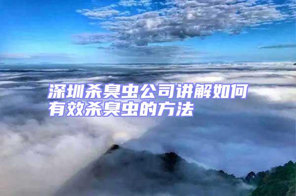 深圳殺臭蟲(chóng)公司講解如何有效殺臭蟲(chóng)的方法