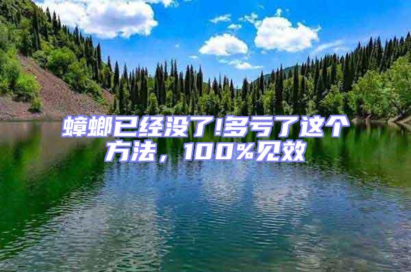 蟑螂已經(jīng)沒了!多虧了這個方法，100%見效