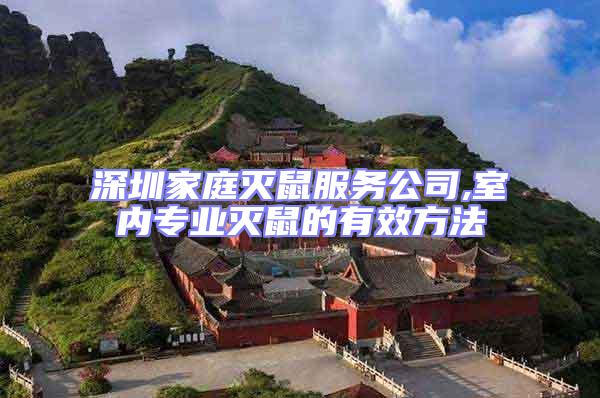 深圳家庭滅鼠服務公司,室內專業(yè)滅鼠的有效方法