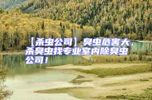 【殺蟲公司】臭蟲危害大，殺臭蟲找專業(yè)室內除臭蟲公司！