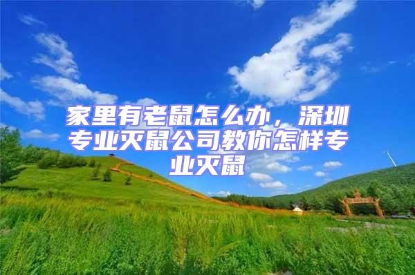 家里有老鼠怎么辦，深圳專業(yè)滅鼠公司教你怎樣專業(yè)滅鼠