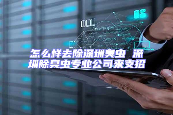 怎么樣去除深圳臭蟲 深圳除臭蟲專業(yè)公司來支招