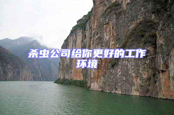 殺蟲公司給你更好的工作環(huán)境