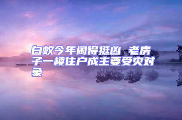 白蟻今年鬧得挺兇 老房子一樓住戶成主要受災(zāi)對(duì)象