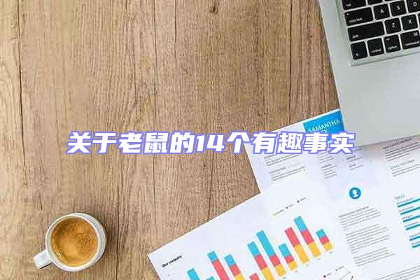 關(guān)于老鼠的14個有趣事實