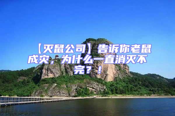 【滅鼠公司】告訴你老鼠成災，為什么一直消滅不完？！