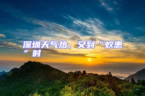深圳天氣熱，又到“蟻患”時