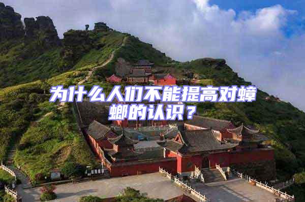 為什么人們不能提高對蟑螂的認識？