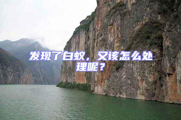 發(fā)現(xiàn)了白蟻，又該怎么處理呢？