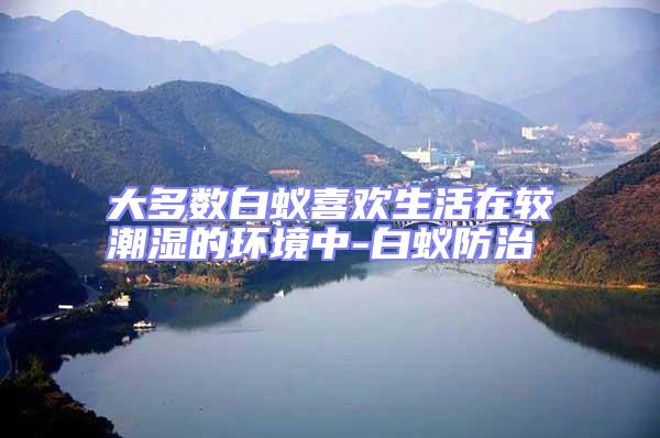 大多數(shù)白蟻喜歡生活在較潮濕的環(huán)境中-白蟻防治