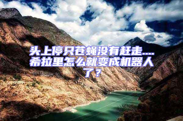 頭上停只蒼蠅沒有趕走....希拉里怎么就變成機器人了？