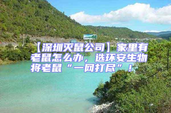 【深圳滅鼠公司】家里有老鼠怎么辦，選環(huán)安生物將老鼠“一網(wǎng)打盡”！