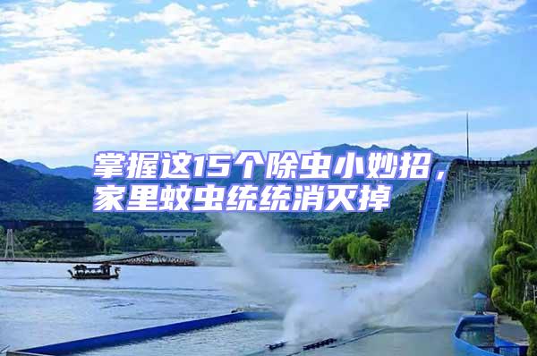 掌握這15個(gè)除蟲(chóng)小妙招，家里蚊蟲(chóng)統(tǒng)統(tǒng)消滅掉