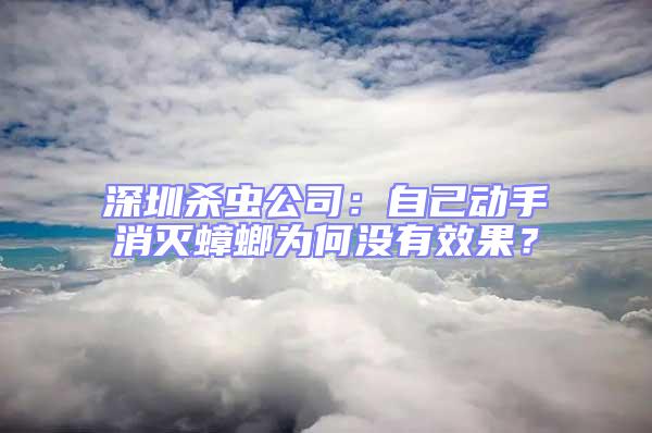 深圳殺蟲公司：自己動手消滅蟑螂為何沒有效果？