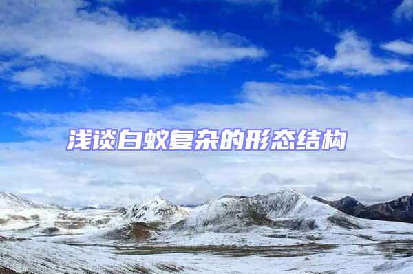 淺談白蟻復雜的形態(tài)結構