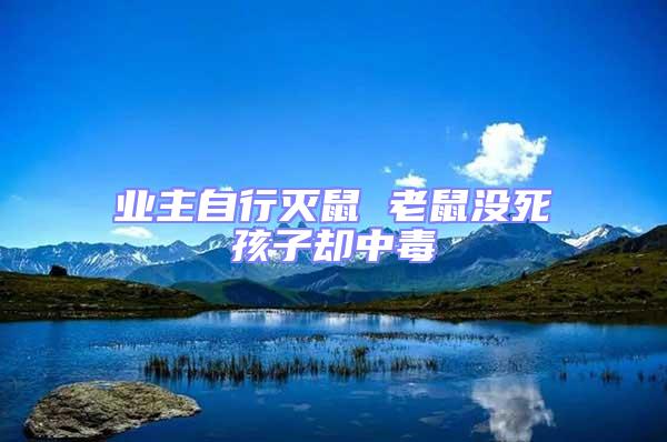 業(yè)主自行滅鼠 老鼠沒(méi)死孩子卻中毒