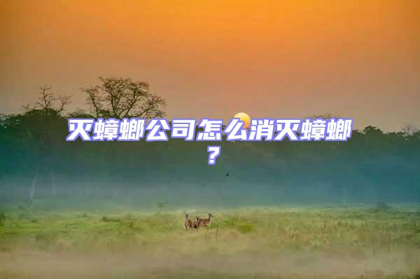 滅蟑螂公司怎么消滅蟑螂？