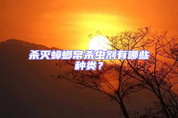 殺滅蟑螂常殺蟲劑有哪些種類？