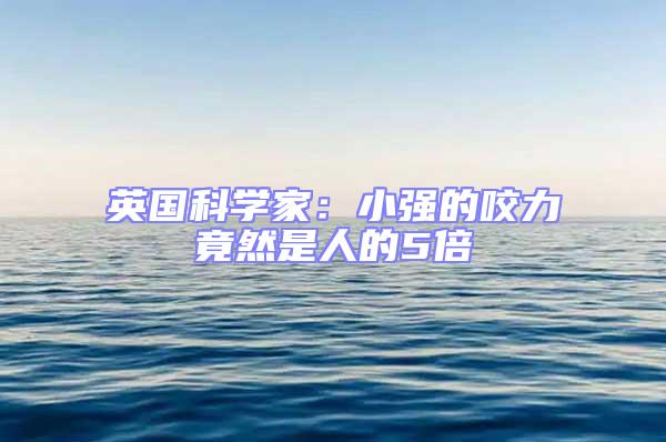 英國科學(xué)家：小強(qiáng)的咬力竟然是人的5倍