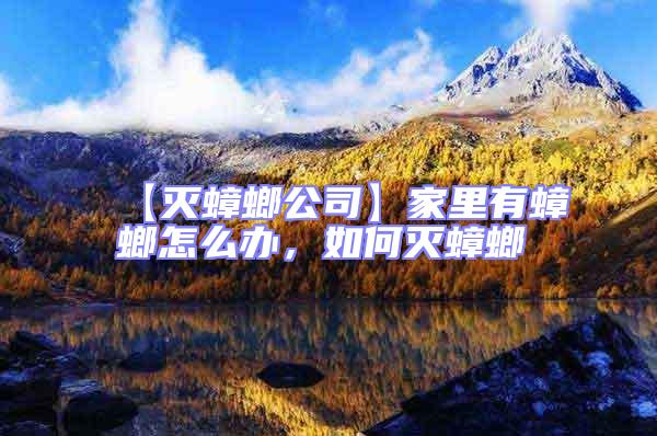 【滅蟑螂公司】家里有蟑螂怎么辦，如何滅蟑螂