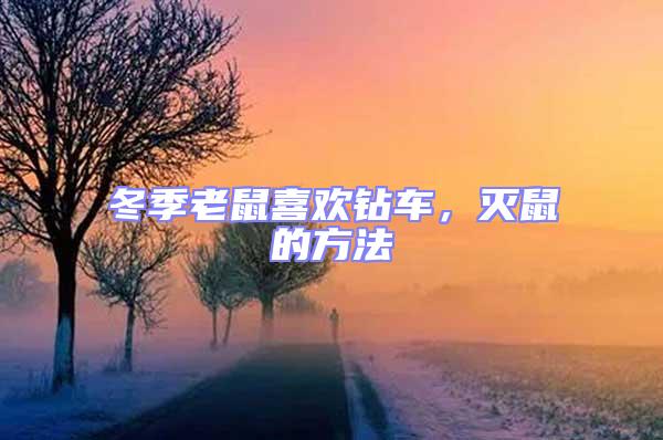 冬季老鼠喜歡鉆車，滅鼠的方法