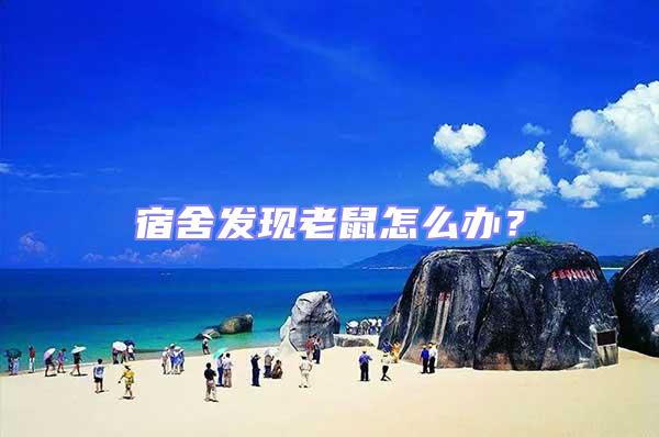 宿舍發(fā)現(xiàn)老鼠怎么辦？