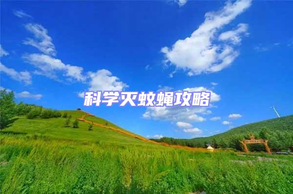 科學(xué)滅蚊蠅攻略