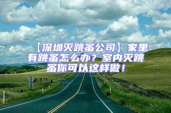 【深圳滅跳蚤公司】家里有跳蚤怎么辦？室內滅跳蚤你可以這樣做！