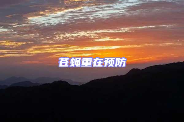 蒼蠅重在預(yù)防