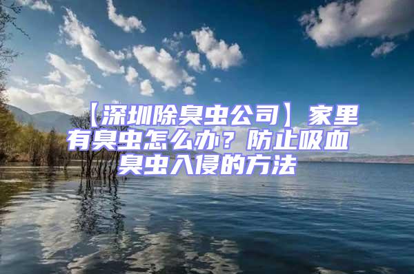 【深圳除臭蟲公司】家里有臭蟲怎么辦？防止吸血臭蟲入侵的方法