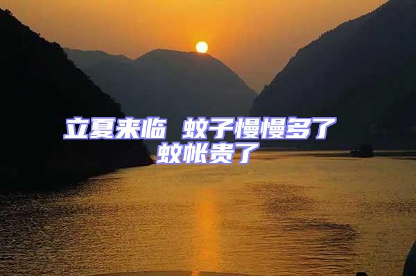 立夏來(lái)臨 蚊子慢慢多了 蚊帳貴了