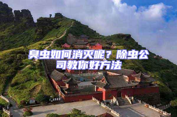 臭蟲(chóng)如何消滅呢？除蟲(chóng)公司教你好方法
