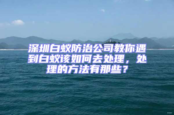 深圳白蟻防治公司教你遇到白蟻該如何去處理，處理的方法有那些？