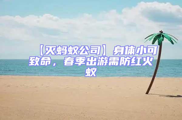 【滅螞蟻公司】身體小可致命，春季出游需防紅火蟻