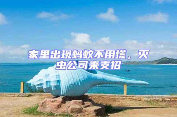家里出現螞蟻不用慌，滅蟲公司來支招