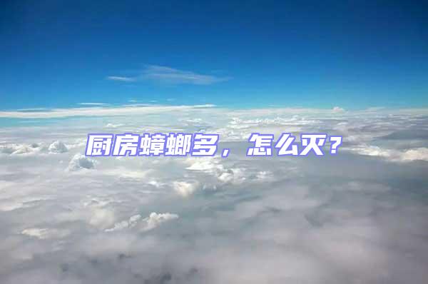廚房蟑螂多，怎么滅？