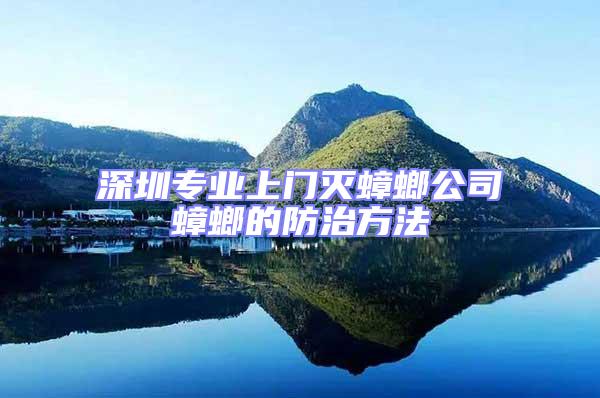 深圳專業上門滅蟑螂公司蟑螂的防治方法