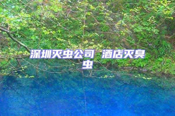 深圳滅蟲(chóng)公司 酒店滅臭蟲(chóng)