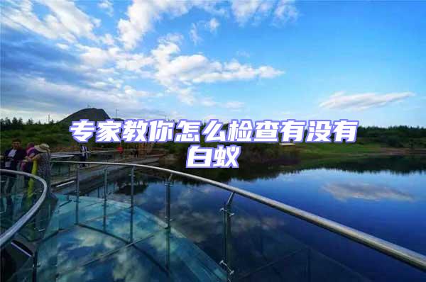 專(zhuān)家教你怎么檢查有沒(méi)有白蟻