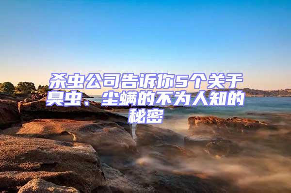 殺蟲公司告訴你5個關(guān)于臭蟲、塵螨的不為人知的秘密