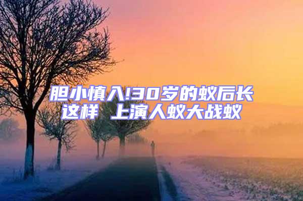 膽小慎入!30歲的蟻后長這樣 上演人蟻大戰(zhàn)蟻