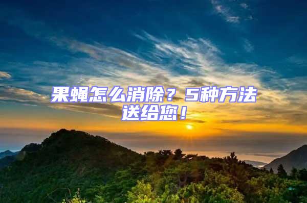 果蠅怎么消除？5種方法送給您！