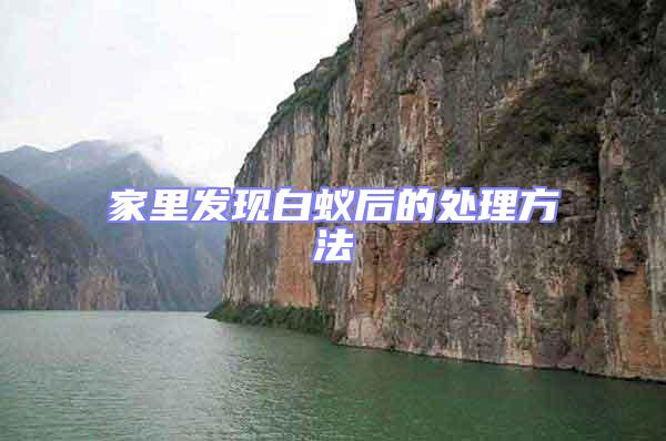 家里發(fā)現(xiàn)白蟻后的處理方法