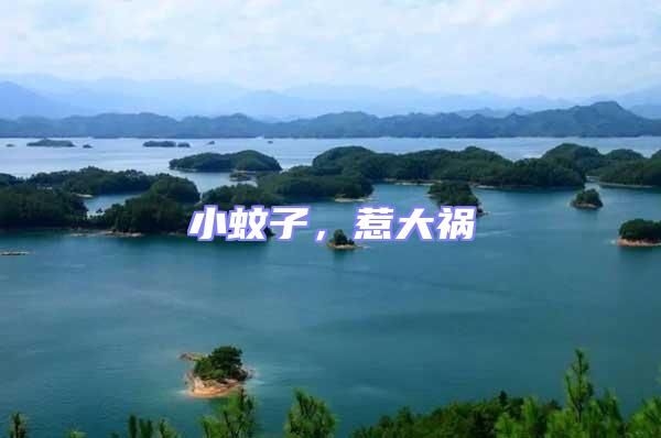 小蚊子，惹大禍