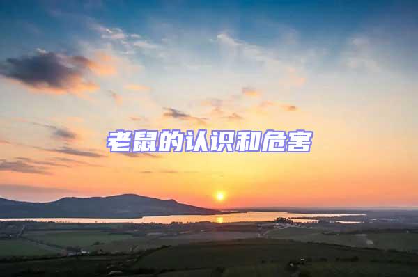 老鼠的認(rèn)識(shí)和危害