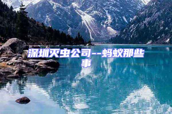 深圳滅蟲(chóng)公司--螞蟻那些事