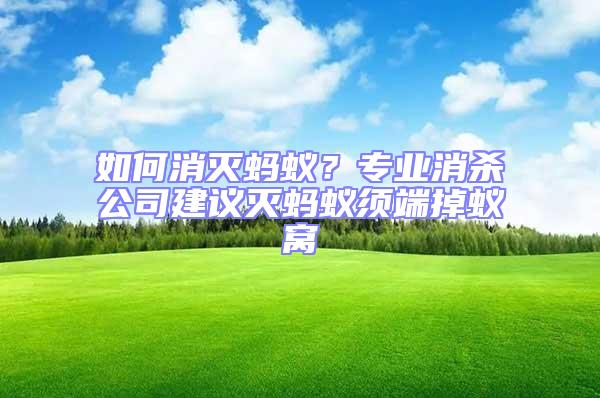 如何消滅螞蟻？專業消殺公司建議滅螞蟻須端掉蟻窩