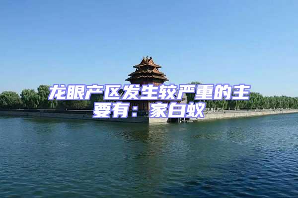 龍眼產(chǎn)區(qū)發(fā)生較嚴(yán)重的主要有：家白蟻